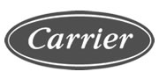 Carrier